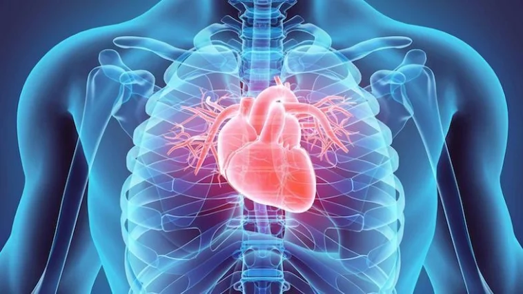 Cardiology